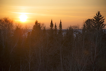 Sunset In A Golden Sky With Trees In The Foreground, Hecla-Grindstone Provincial Park, Riverton, Manitoba, Canada