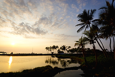 Silhouette Of Palm Trees Along The Coastline At Sunset, Island Of Hawaii, Hawaii, United States Of America