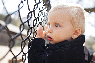 Young Boy Looks Through The Fence At Park, Toronto, Ontario, Canada