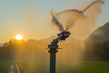 Watering The Lawn At Sunset, Locarno, Ticino, Switzerland