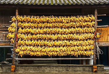 Corn Liquor Distillation Supplies, Tiger Leaping Gorge, Yunnan, China