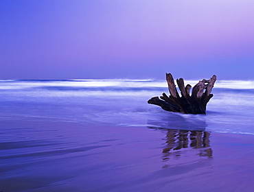 Waves Break On The Beach At Dawn, Winchester Bay, Oregon, United States Of America