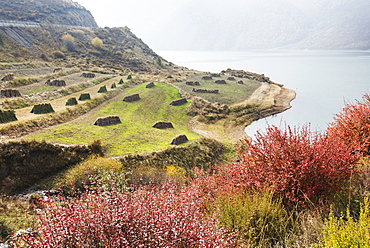 Red, Blue, Green And Yellow Colors Of Autumn In A Meadow Near Yangshan Dawan City, Tibet, China