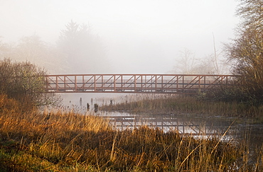 The Lewis And Clark River Hiking Trail, Astoria, Oregon, United States Of America