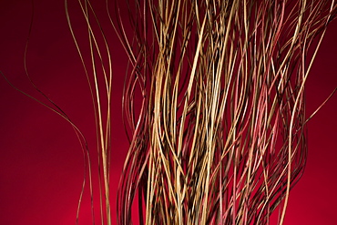 Dried Sticks On A Red Background, Chiang Mai, Thailand