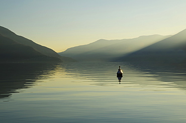 A Buoy Floats In Tranquil Lake Water With A Silhouette Of The Swiss Alps At Dawn, Ascona, Ticino, Switzerland