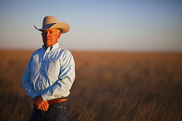 Agriculture - Cowboy standing in a conservation reserve program (CRP) field / Floydada, Texas, USA.