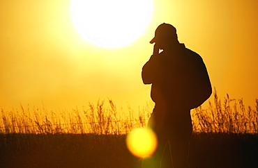 Agriculture - A farmer, silhouetted by the setting sun, talks on a cell phone in his field / Iowa, USA.