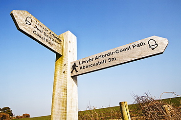 Coastal Path Signpost, Pembrokeshire Coast Path, Near Aber Mawr, Pembrokeshire, Wales