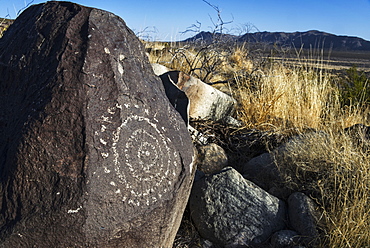 Three Rivers Petroglyph Site, New Mexico, United States Of America