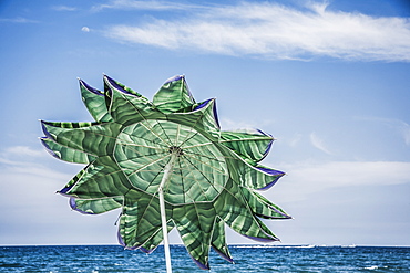 Beach Umbrella In The Shape Of A Flower, Florida, United States Of America