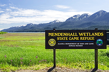 Mendenhall Wetlands State Game Sanctuary With The Mountains Of Douglas Island In The Distance, Juneau, Alaska, United States Of America