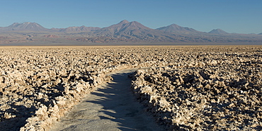 Salt Flat, San Pedro De Atacama, Antofagasta Region, Chile