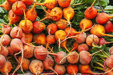 Golden Beets At A Farmer's Market, Toronto, Ontario, Canada