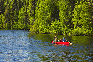 A Couple And Young Girl In A Red Canoe On Byers Lake With Green Forested Shoreline In Byers Lake Campground, Denali State Park, Alaska, United States Of America