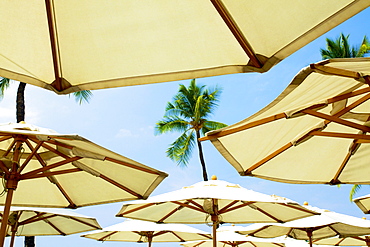 Hawaii, Kauai, A Group Of Umbrellas On The Beach.