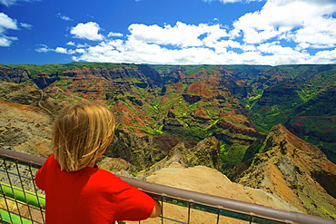 A Child Looks Over A Railing At Waimea Canyon, Kauai, Hawaii, United States Of America