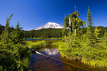 Mount Rainier, Mount Rainier National Park, Washington, United States Of America