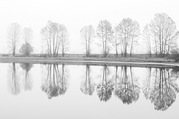 Fog Descends On The Alouette River, Pitt Meadows, British Columbia, Canada