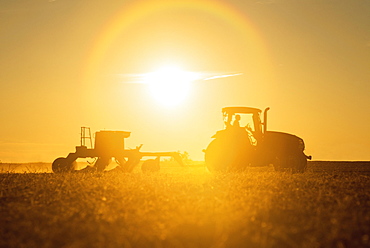 Farmer Planting Cover Crop Over Soybean Stubble In Kent County, Rock Hall, Maryland, United States Of America