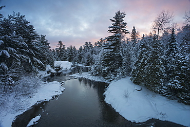 River With Snow Covered Evergreens At Sunset, Ontario, Canada