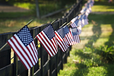 Black Wooden Fence Trailing Off With Small US Flags Hanging From Each Post, United States Of America