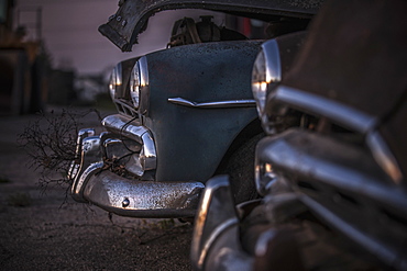 Rear End Of Vintage Cars, Manitoba, Canada