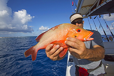 Fisherman Holding A Fresh Caught Red Fish, Tahiti