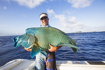 Fisherman Holding A Fresh Caught Napoleon Wrasse (Cheilinus Undulatus), Tahiti