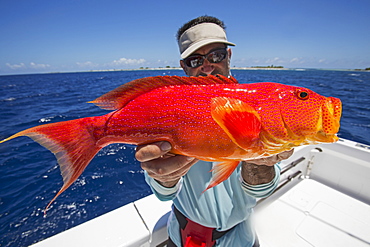 Fisherman Holding A Fresh Caught Red And Orange Fish, Tahiti