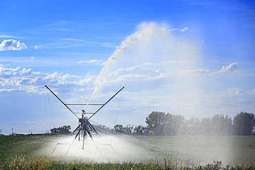 Center Pivot Irrigation Spraying Water, Near Lethbridge, Alberta, Canada