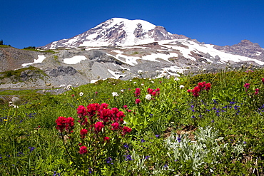 Mount Rainier, Mount Rainier National Park, Washington, United States Of America