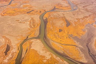 Aerial View Of A Branch Of The Noatak River, Lakes And Tundra, Noatak, Alaska, United States Of America