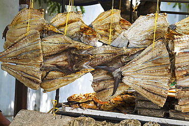 Dried Fish For Sale, Makassar (Ujung Pandang), South Sulawesi, Indonesia