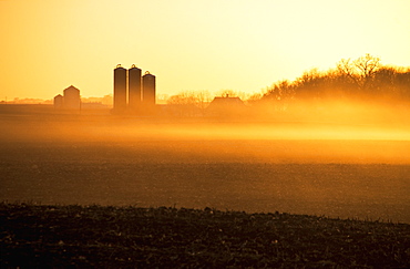 Hazy Sunrise Light On Fallow Corn Fields And A Farmstead With Harvestore Silos, Near Truman, Minnesota, United States Of America