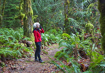 A Mature Woman On A Cell Phone Hiking In The Rainforest In The Cowichan Valley, British Columbia, Canada