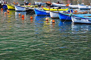 Boats Tied Up In The Harbour, Vernazza, Liguria, Italy