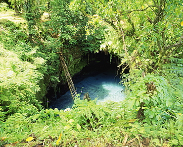 A Ladder To Sua Waterhole, Upolu Island, Samoa