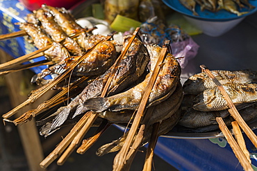 Barbecued Fish In Battambang Market, Battambang, Cambodia