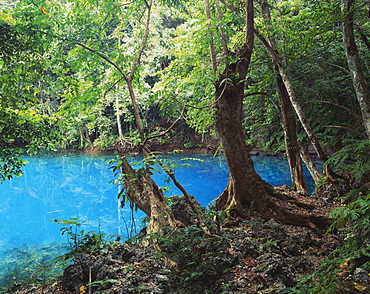 One Of Several Blue Holes On Efate Island, Efate Island, Vanuatu