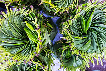 Vegetables For Sale At The Local Market, Timor-Leste