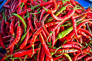 Chillies In Local Market, Bandar Seri Begawan, Darassalam, Brunei