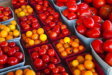 Tomatoes For Sale At A Roadside Stand, Dunham, Quebec, Canada