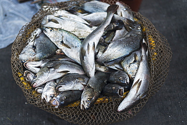 Fish Basket In Street Market From Villages Around Xiapu City, Famous Place For Chinese Traditional Fishing, Xiapu, Fujian, China