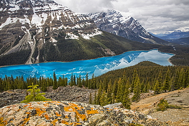 The Aquamarine Waters Of Peyto Lake, Banff National Park, Alberta, Canada