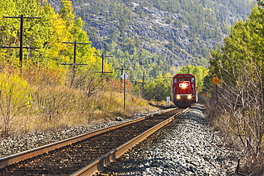 Train On The Tracks In Autumn, Wawa, Ontario, Canada