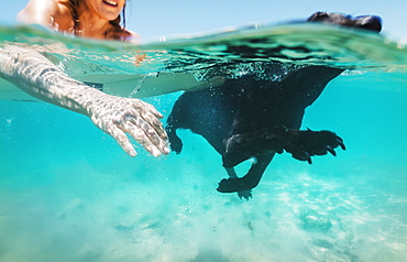 Woman And Her Pet Labrador Swimming Together, Bolonia, Tarifa, Costa De La Luz, Andalusia, Spain