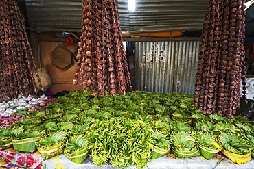 Betel Nuts For Sale At The Market, Dili, East Timor