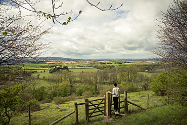 Walking In The English Countryside, Tring, Borough Of Dacorum, Hertfordshire, England