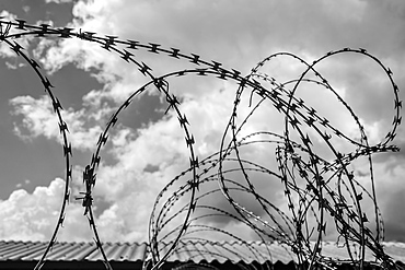 Detail Of Barbed Wire In Black And White, Soweto, Gautang, South Africa